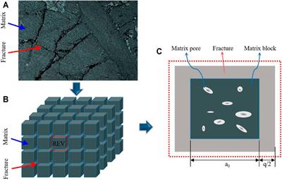 Investigation on Coal Skeleton Deformation in CO2 Injection Enhanced CH4 Drainage From Underground Coal Seam